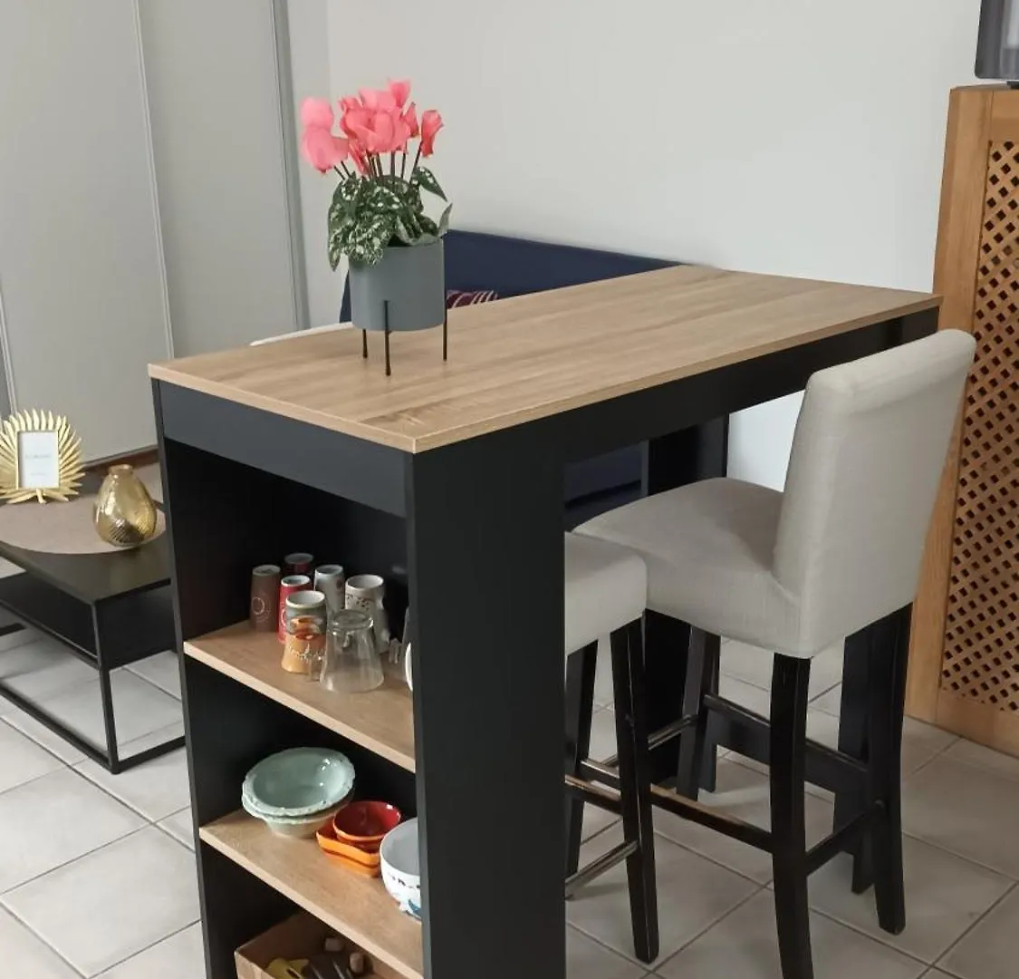شقة Petit T2 Au Centre Ville مانوسك